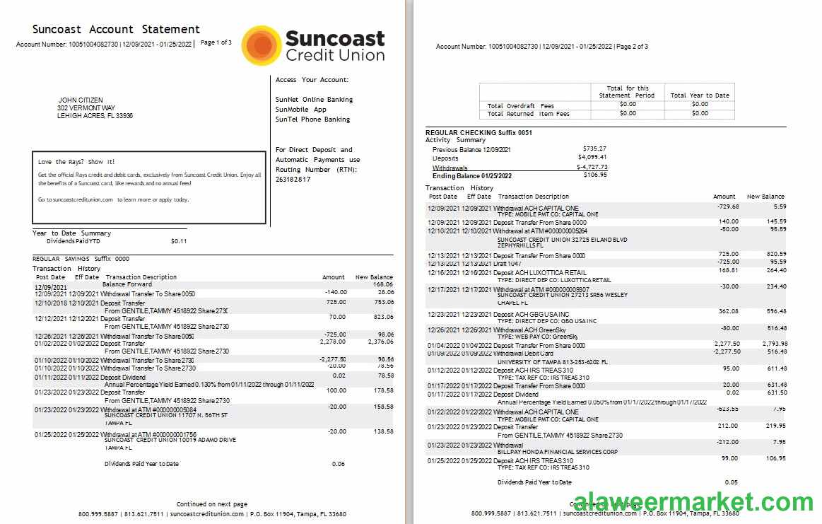 USA Suncoast bank statement Word and PDF template, 3 pages